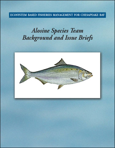 Ecosystem-Based Fisheries Management for Chesapeake Bay: Alosine Background and Issues Briefs. Cover image of Ecosystem-Based Fisheries Management for Chesapeake Bay: Alosine Background and Issues Briefs.