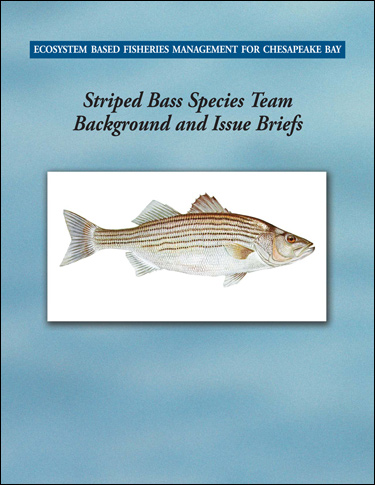 Ecosystem-Based Fisheries Management for Chesapeake Bay: Striped Bass Background and Issues Briefs. Cover image of Ecosystem-Based Fisheries Management for Chesapeake Bay: Striped Bass Background and Issues Briefs.