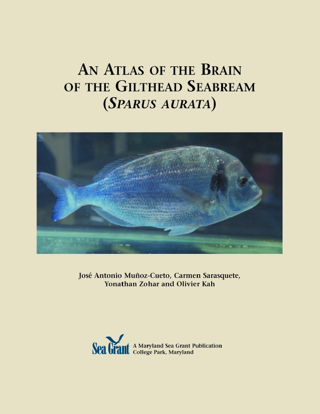 An Atlas of the Brain of the Gilthead Seabream (Sparus aurata). Cover image of An Atlas of the Brain of the Gilthead Seabream (Sparus aurata).